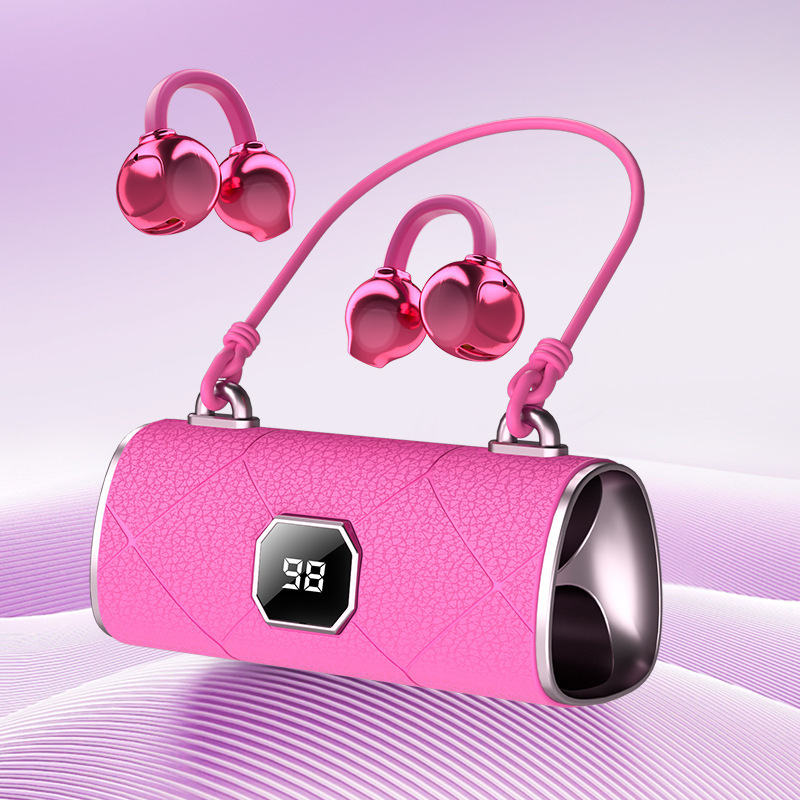 Language Translator Earbuds
